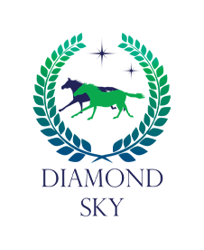 Diamond Sky Estate